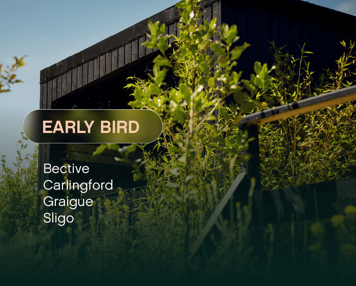 Early Bird Bundle