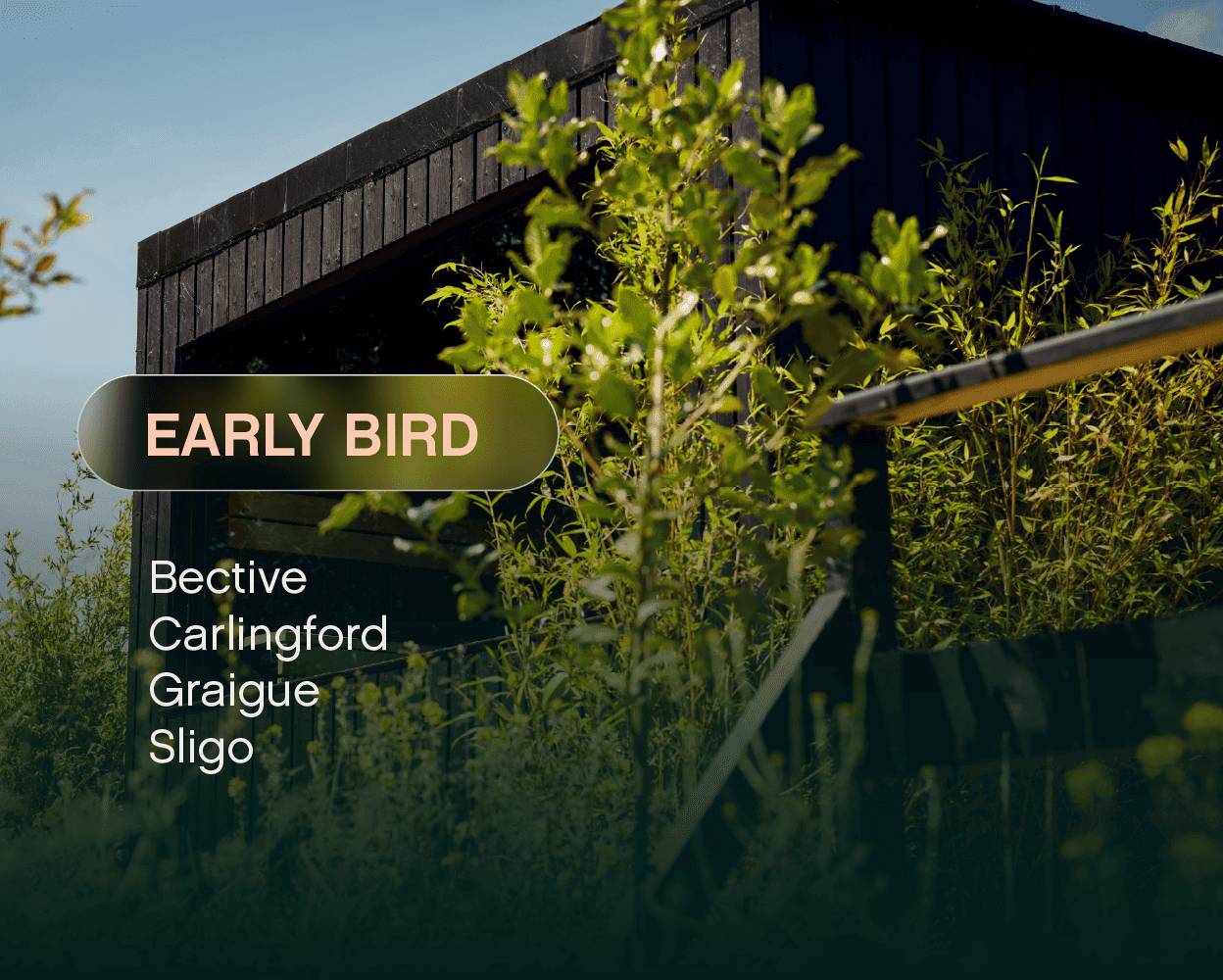 Early Bird Bundle